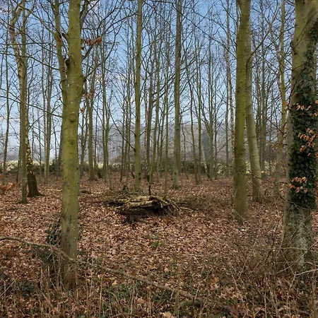 Prázdninový dům Ae307-soby-aero-godthab-2