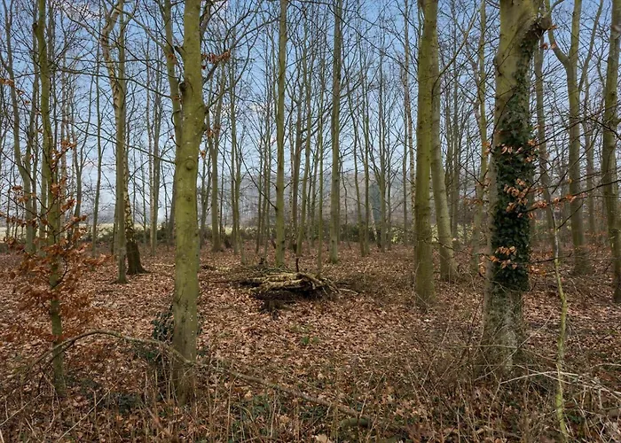 Дом отдыха Ae307-soby-aero-godthab-2